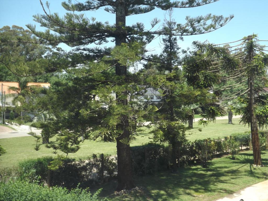 Puesta Del Sol Punta Ballena